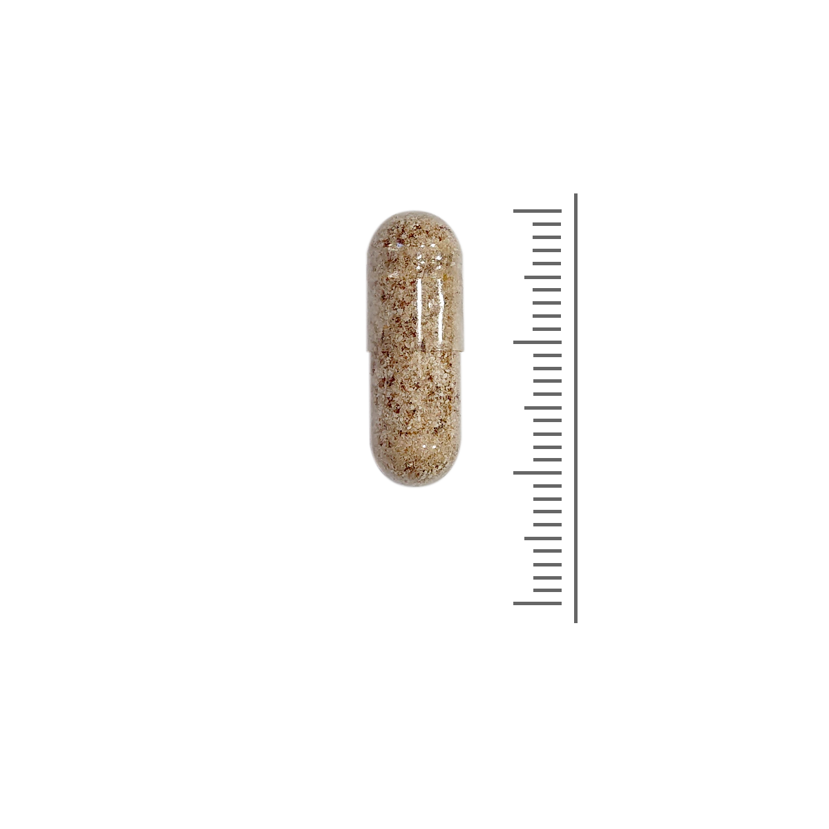 Sanaslank Vitamine B complex