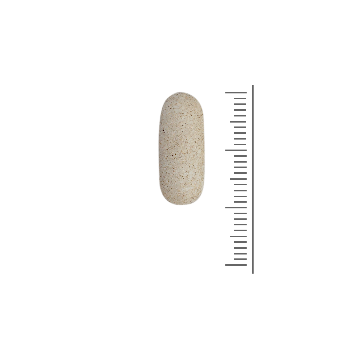 Sanaslank vitamine C1000 TR (30 tabletten)