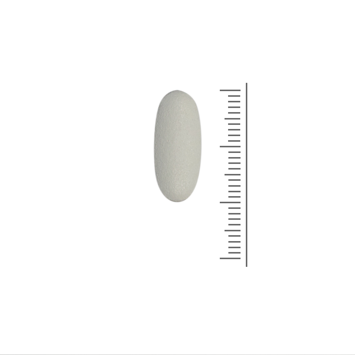 SanaSlank Calcium, Magnesium, Zink – 30 tabletten
