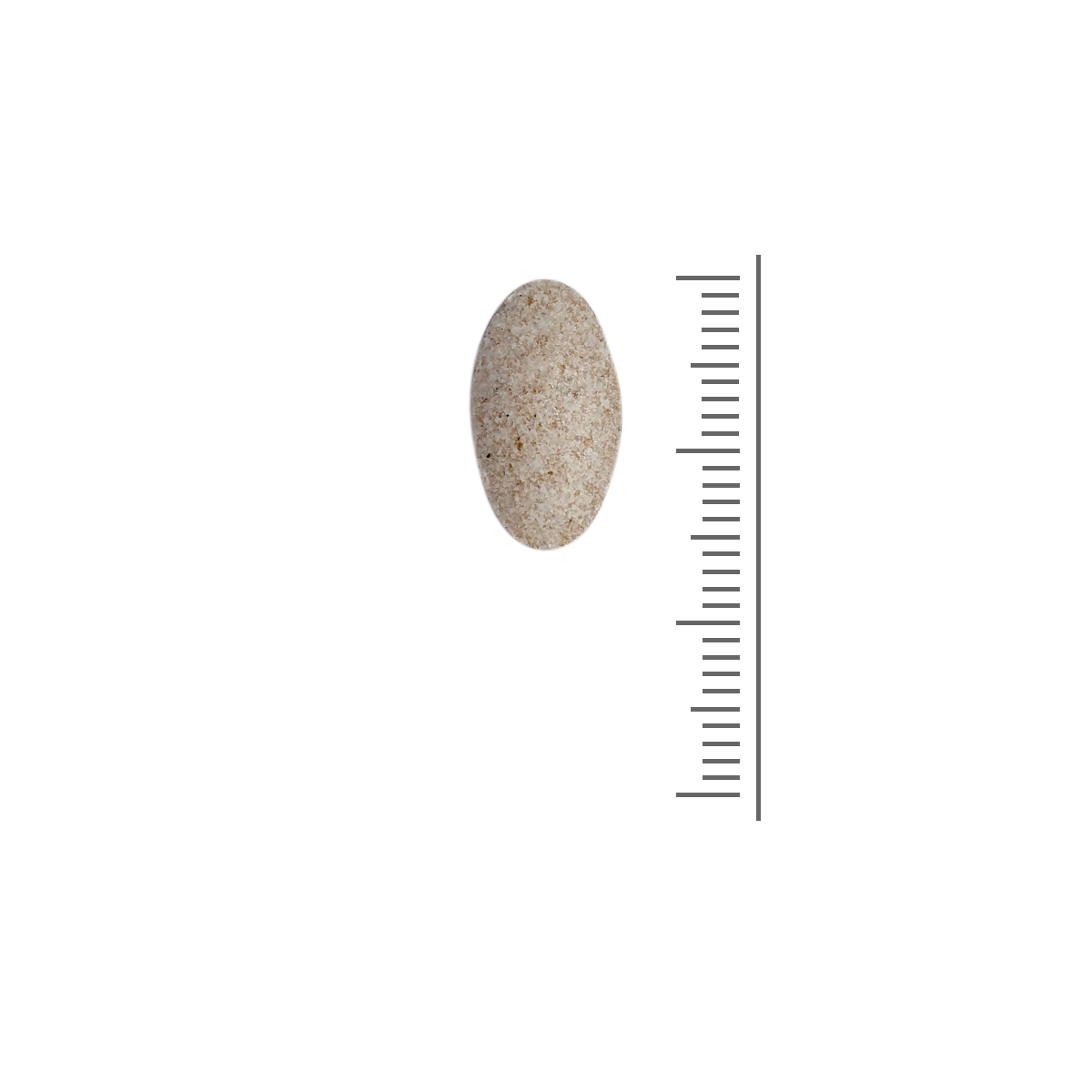 SanaSlank kalium – 90 tabletten