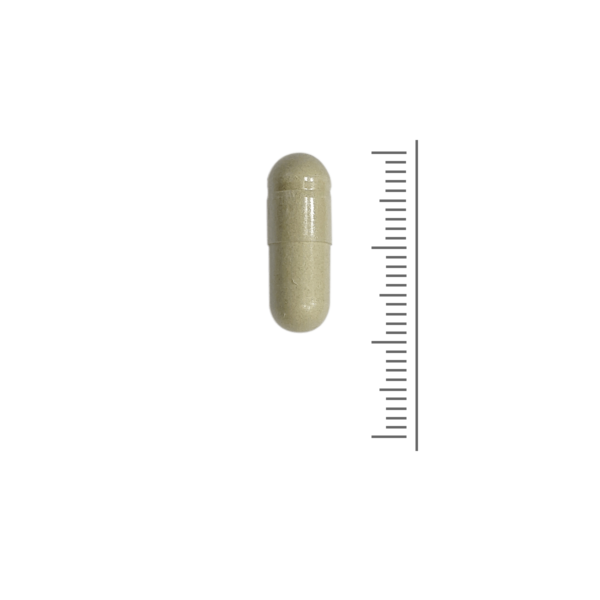SanaSlank Neopuntia (vetbinder)