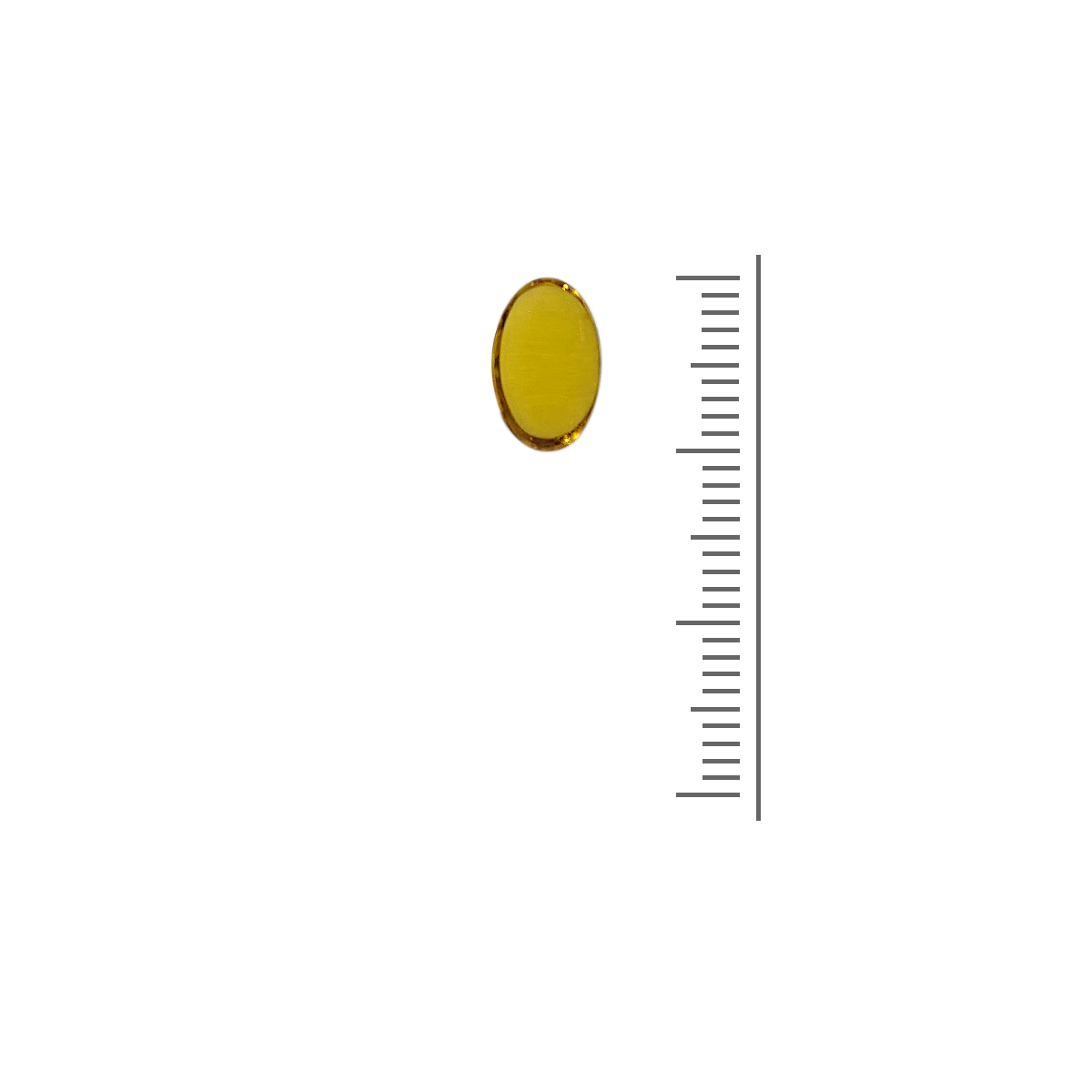 SanaSlank Vitamine D3 – 25 mcg