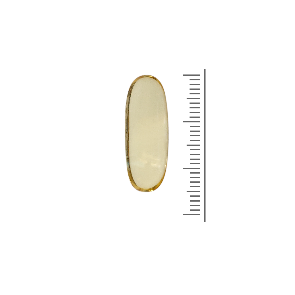 SanaSlank Omega 3 – 1000 mg